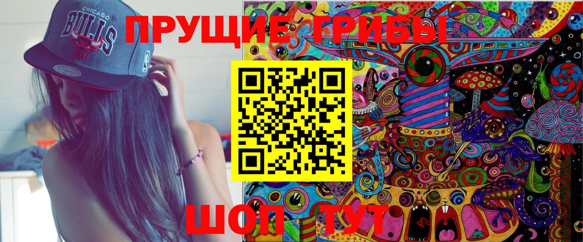 магазин продажи   Вход с VPN  Галлюциногенные грибы прущие грибы  Черняховск  Псилоцибиновые грибы Psilocybine cubensis 