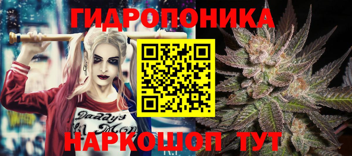 Бошки марихуана гибрид Черняховск